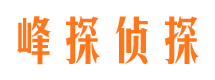 阳春寻人公司